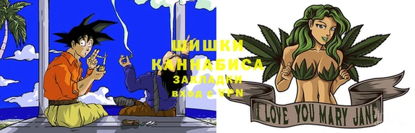 гашик Козельск