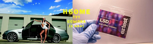 гашик Козельск
