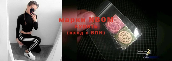 гашик Козельск