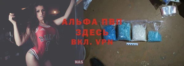 гашик Козельск