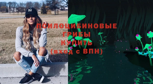 мдма Козловка
