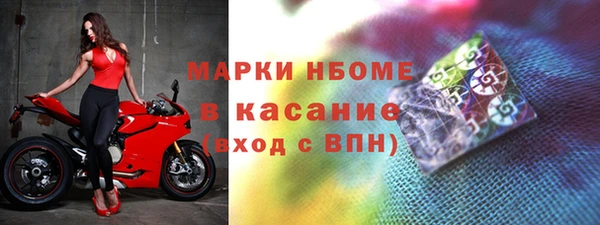 гашик Козельск