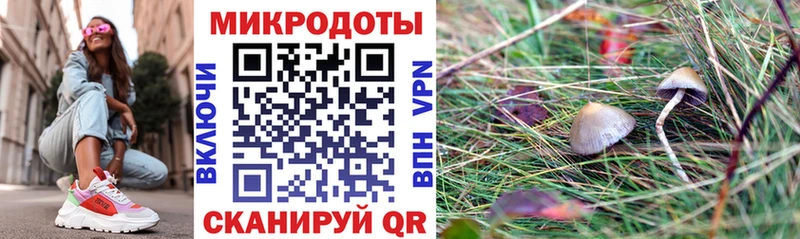Псилоцибиновые грибы GOLDEN TEACHER  Купить закладки  Ставрополь 