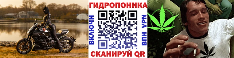 Бошки Шишки MAZAR  Купить закладки  Ставрополь 